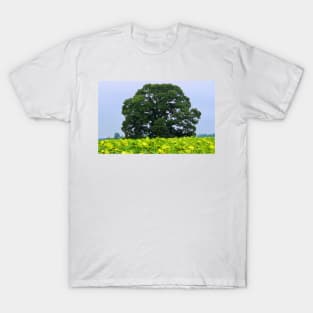 Tree In A Field Of Sunflowers T-Shirt